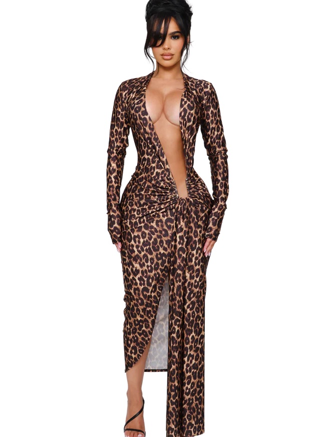 Coucoo Deep Plunge Leopard-Print Long Sleeve Maxi Dress